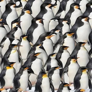 penguin background