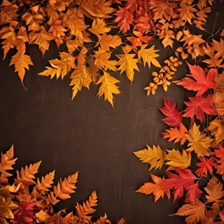 fall wallpaper