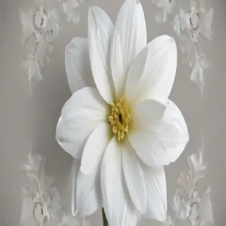 white flower png