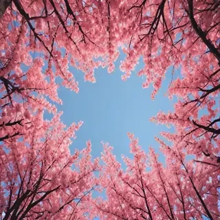pretty aesthetic wallpapers