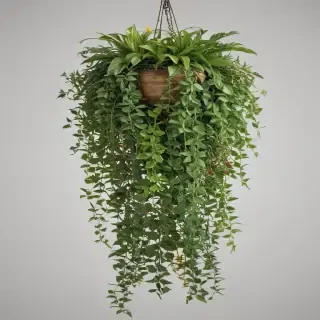 hanging plants png