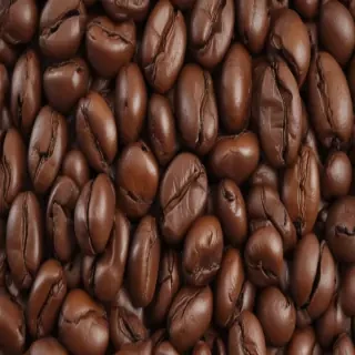 coffee bean png
