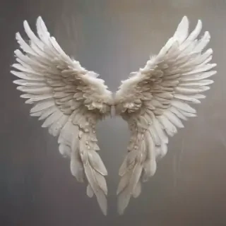 picture of angel wings