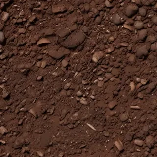 soil png