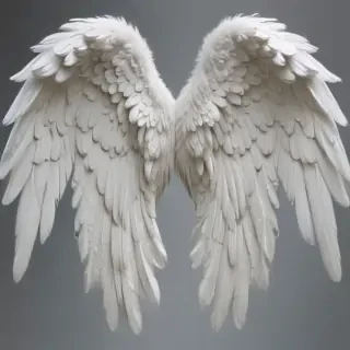 picture of angel wings