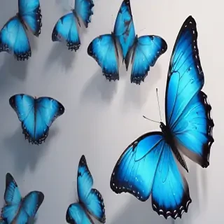 aesthetic blue butterfly