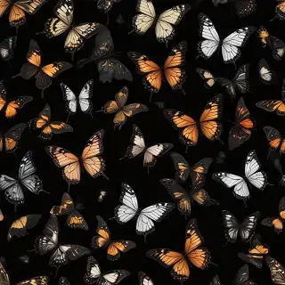 butterflies in black background
