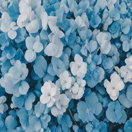 blue aesthetic photos