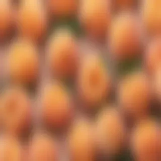 peach background aesthetic