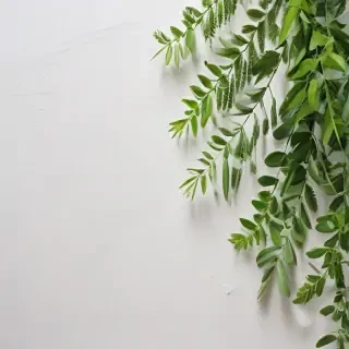 white and greenery background