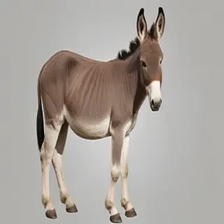 donkey png