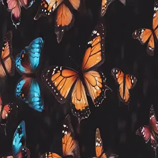 butterfly aesthetic