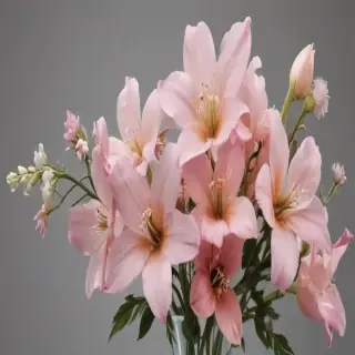 aesthetic flowers png