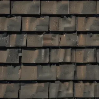 pictures of shingles