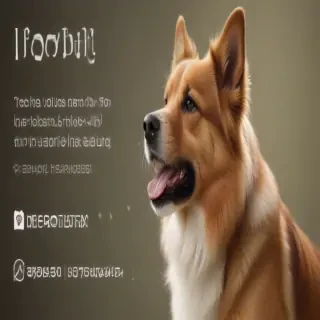 dog barking sound