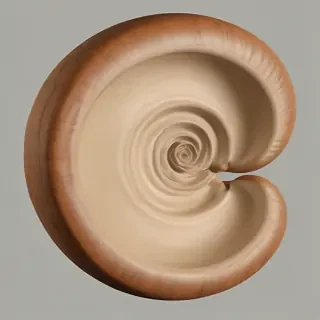 spiral png