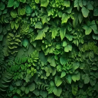 green wallpaper for iphone