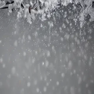 snow falling png