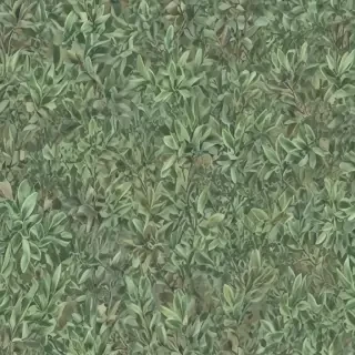 aesthetic sage green