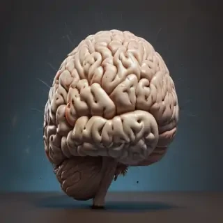 brain transparent background