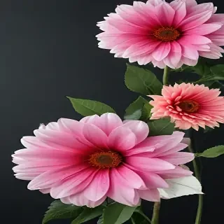 flower no background