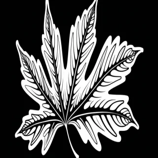 clipart leaf black and white