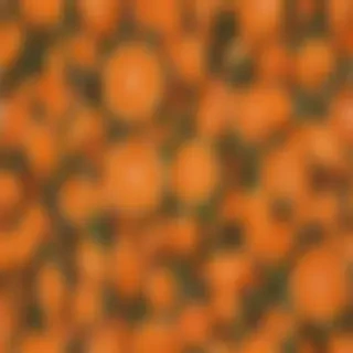 pretty orange backgrounds