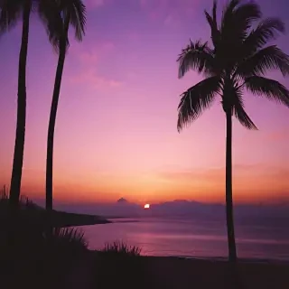 sunset aesthetic wallpaper