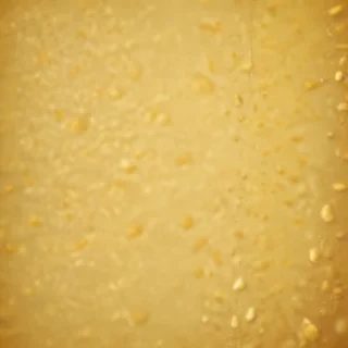 plain yellow bg
