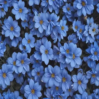 blue flowers aesthetic