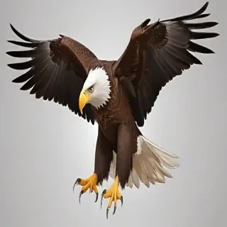 eagle vector