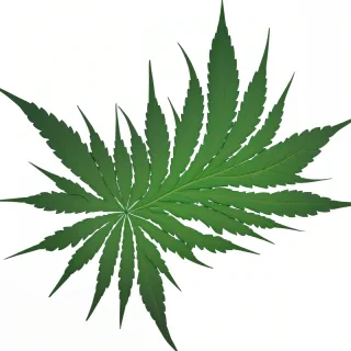 weed leaf png