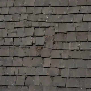 pictures of shingles