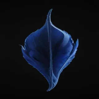black background blue