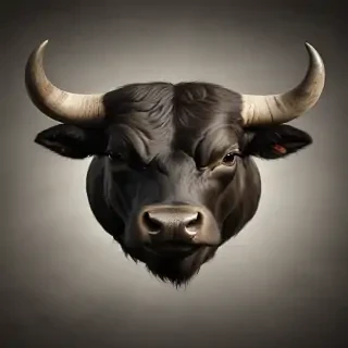 bull background