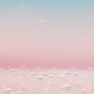 soft backgrounds