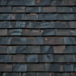 shingles images