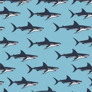 shark background