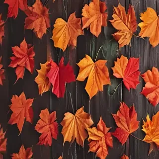fall iphone wallpaper