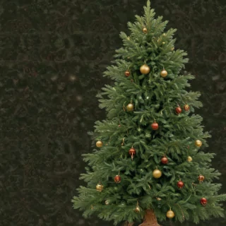 christmas tree wallpaper