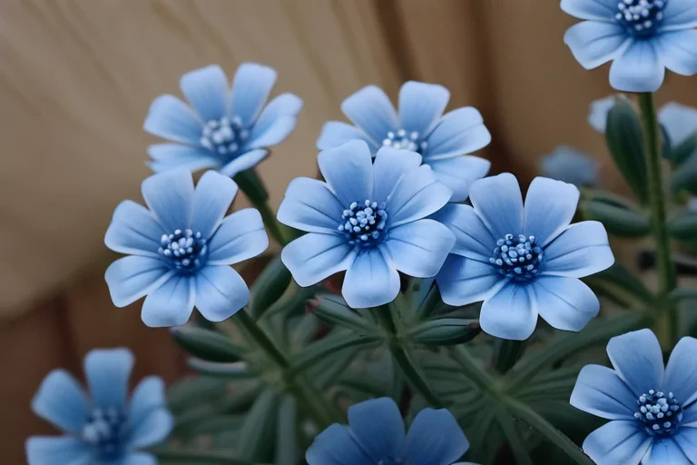 blue flowers