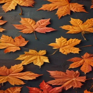 cute fall iphone wallpaper