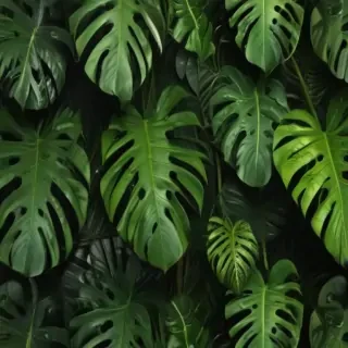 monstera background