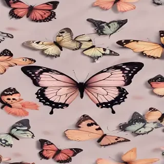 aesthetic wallpaper butterfly