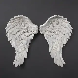 picture of angel wings