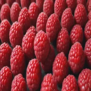raspberry cartoon