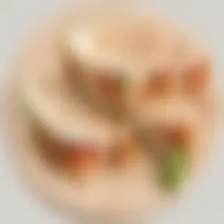 quesadillas png