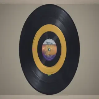 vinyl png