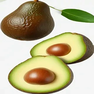 avocado png
