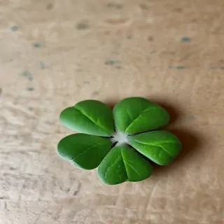4 leaf clover